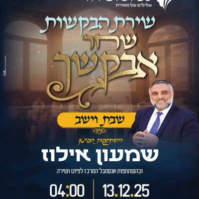 13.12 שמעון אילוז